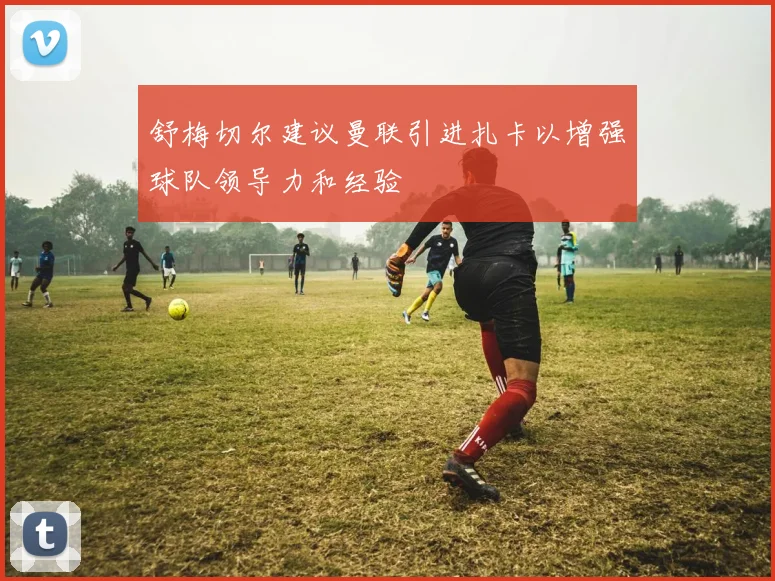 舒梅切尔建议曼联引进扎卡以增强球队领导力和经验