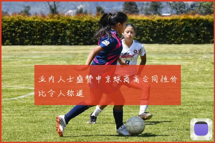业内人士盛赞申京球商高合同性价比令人称道